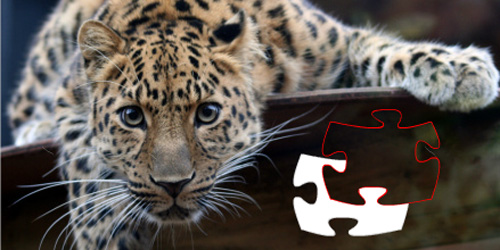 Photo puzzle online