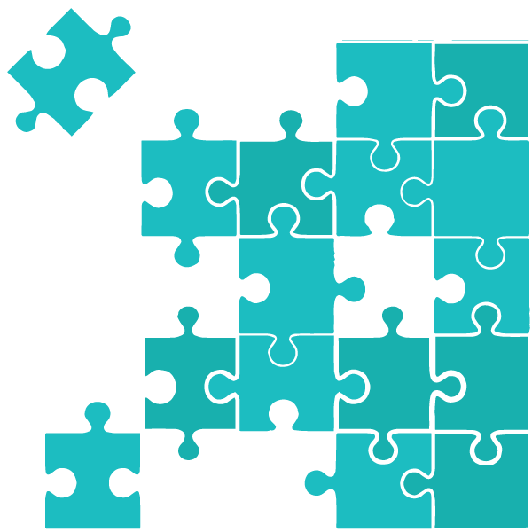 The big puzzle