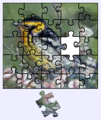 Puzzle free jigsaw