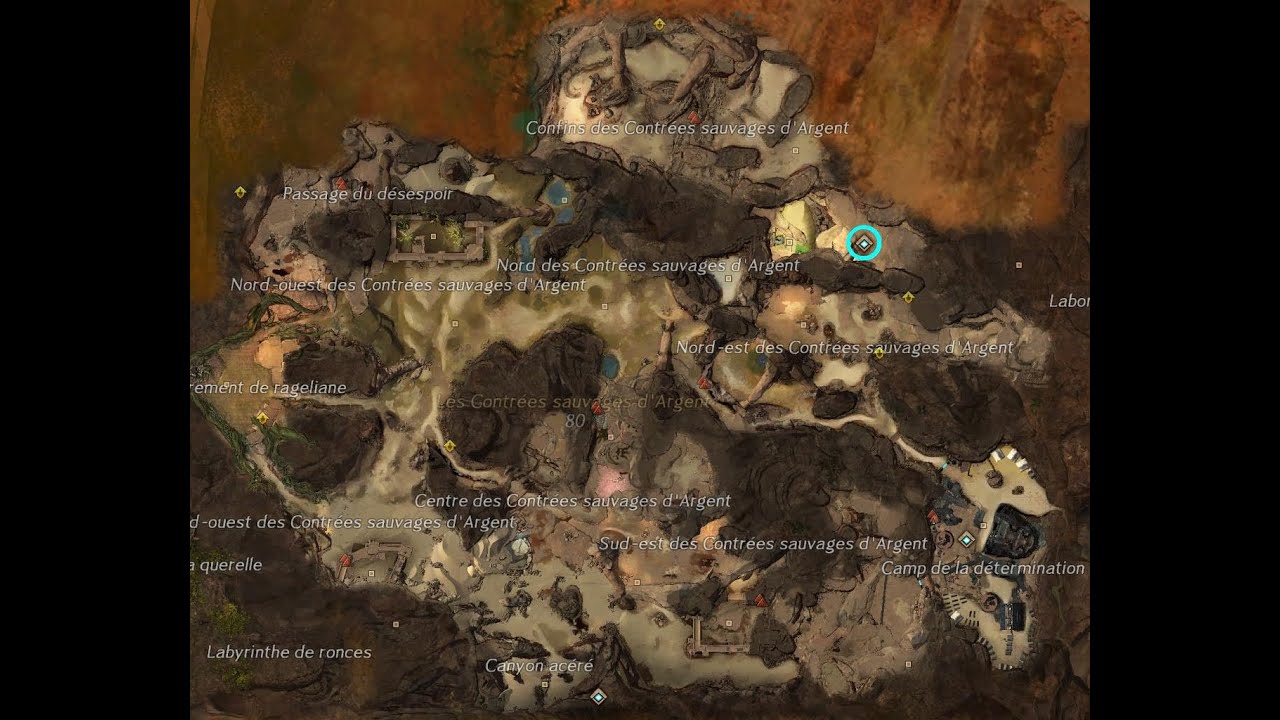 Puzzle jump contrée sauvage d'argent