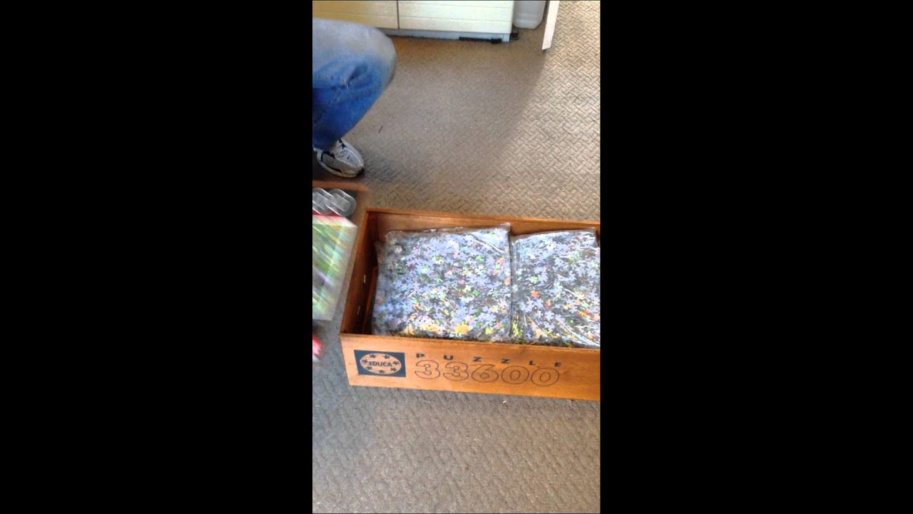 Puzzle 33600 pieces la vie sauvage