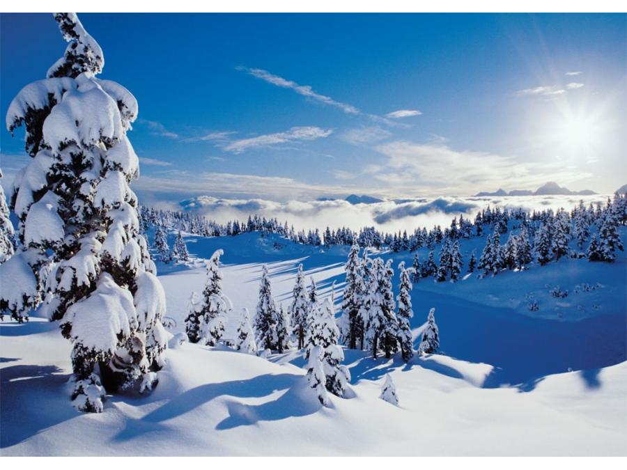 Puzzle 1500 pièces paysage