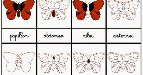 Puzzle papillon montessori