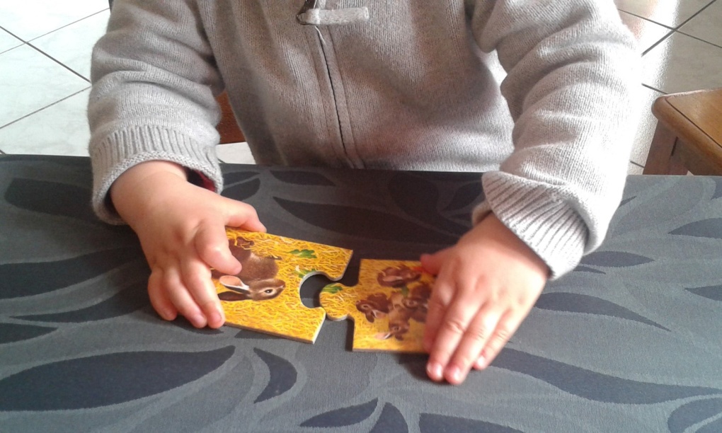 Puzzle maman et ses petits