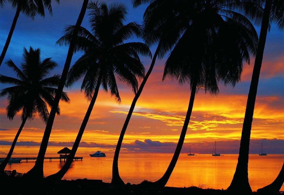 Puzzle adulte paysage