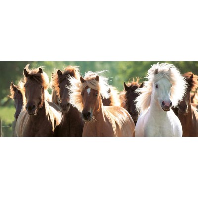 Puzzle chevaux 1000 pieces