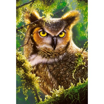 Puzzle castorland 1000 pièces