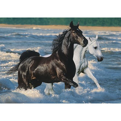 Puzzle chevaux 1500 pieces