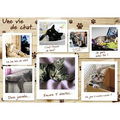 Puzzle chat en ligne