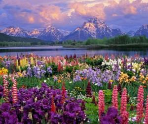 Jeux de puzzle paysage