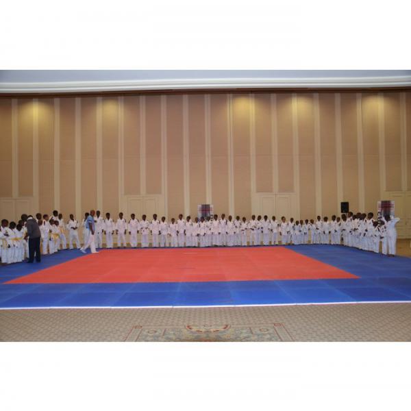 Tatami puzzle 2 5 cm