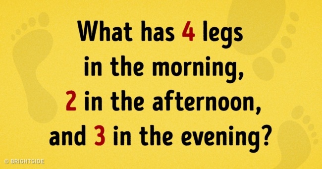 Puzzle facebook
