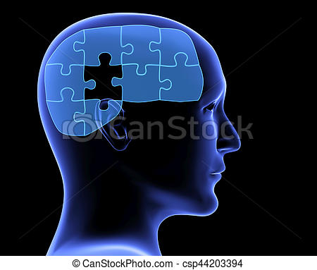 Cerveau puzzle
