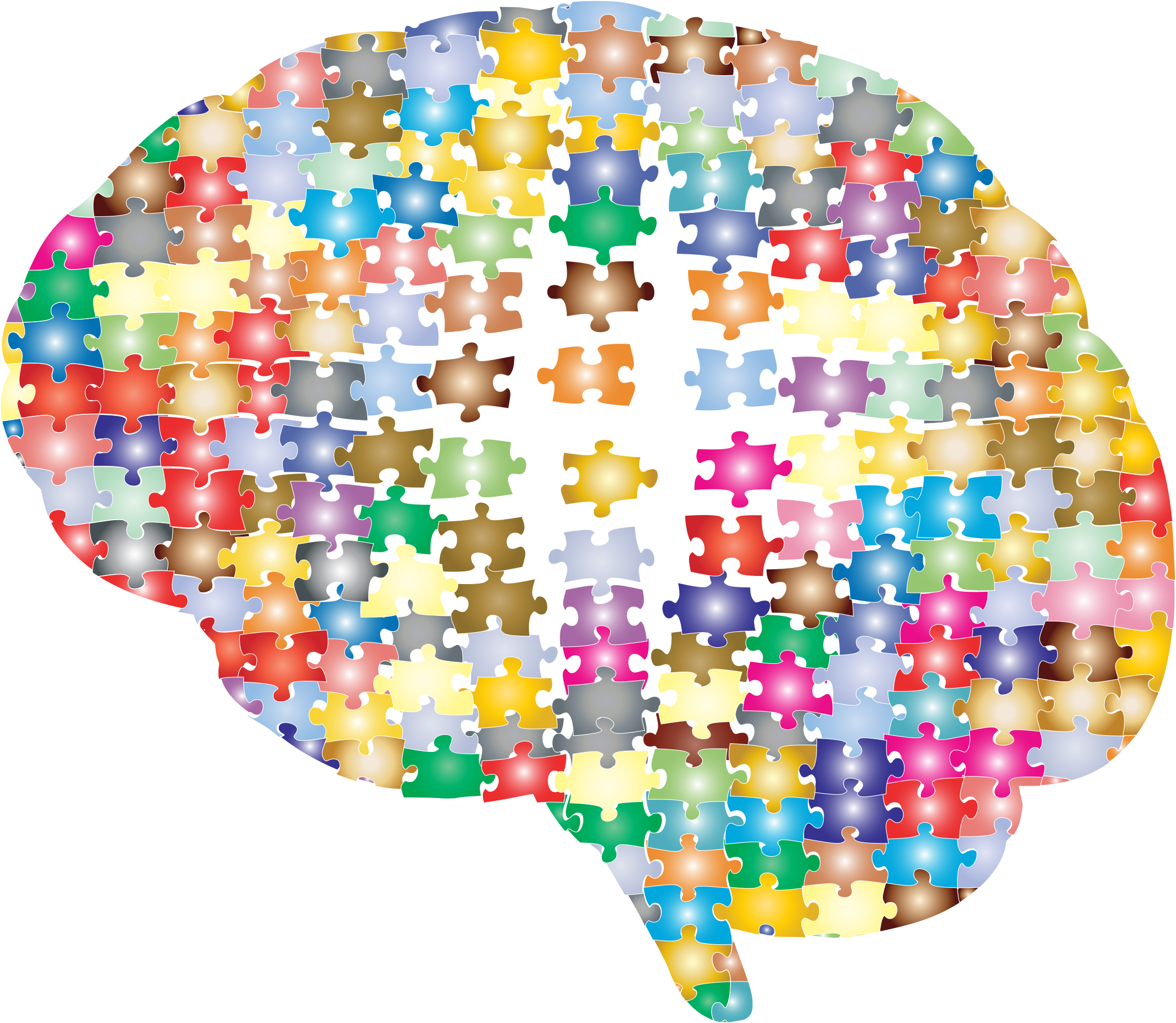 Brain puzzle
