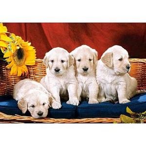 Puzzle du jour chien