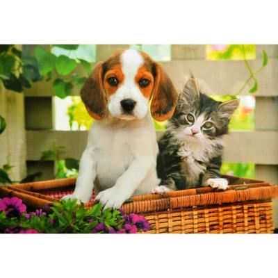 Puzzle chien et chat