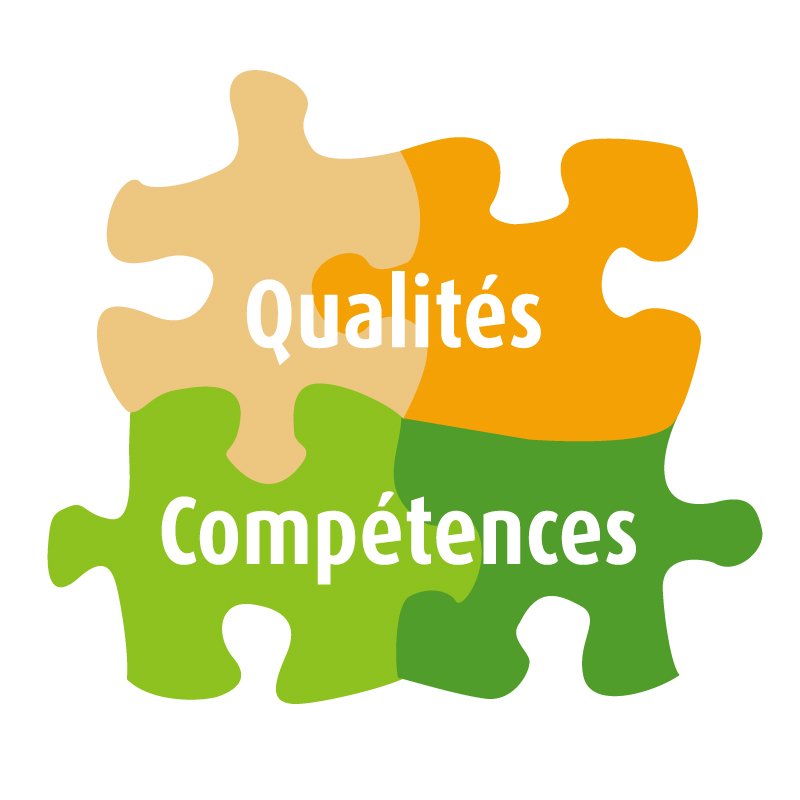 Compétences puzzle