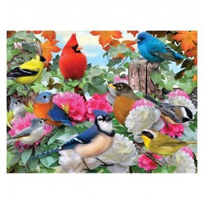Puzzle oiseaux