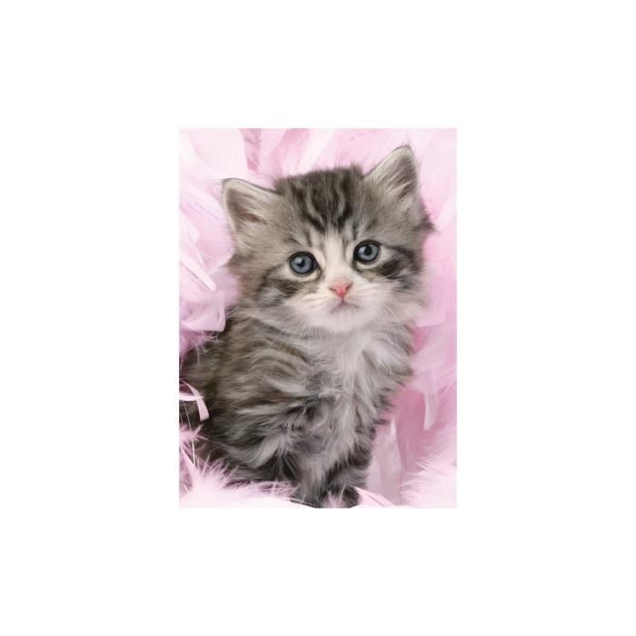Puzzle de chat