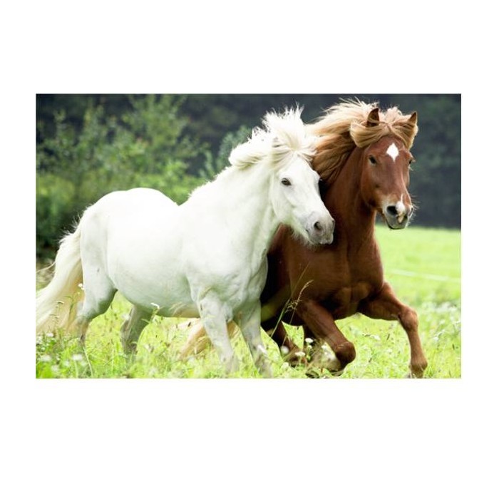 Puzzle cheval