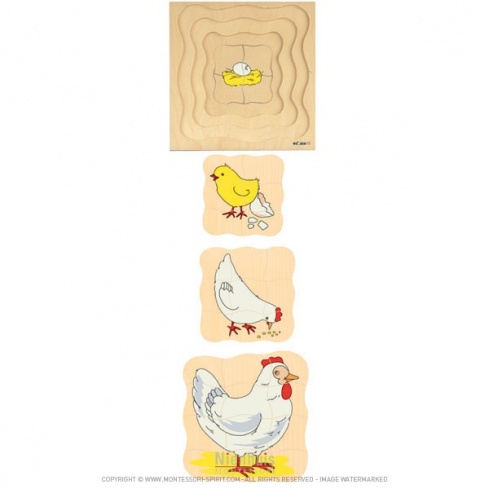 Puzzle poule