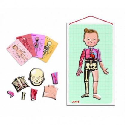 Puzzle le corps humain