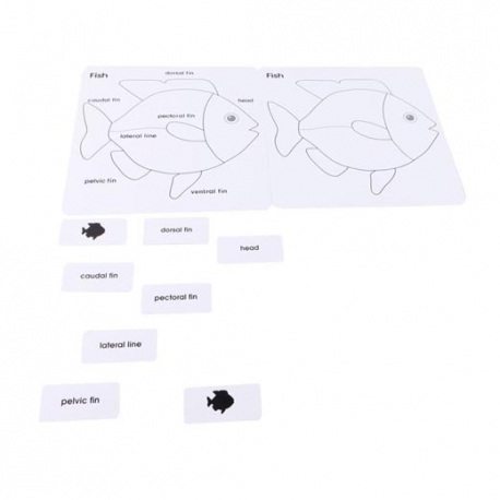 Puzzle poisson montessori