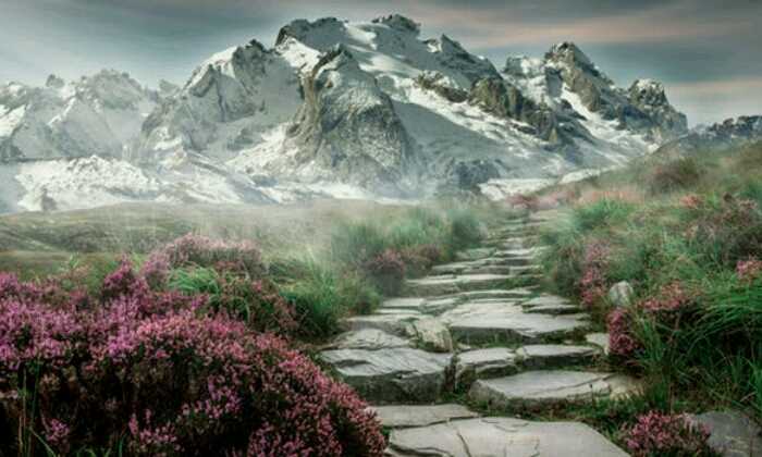 Puzzle paysage gratuit en ligne