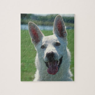 Puzzle chiens