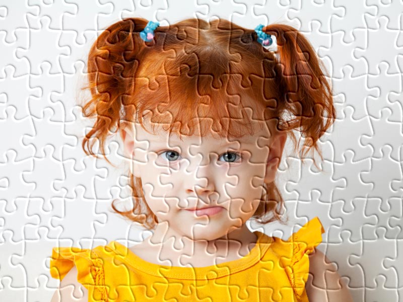 Portrait puzzle
