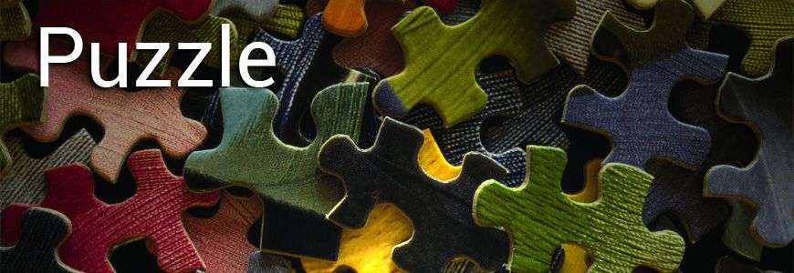 Jeu de puzzle adulte
