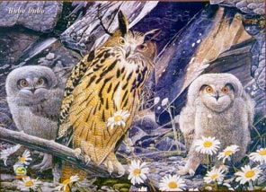 Puzzle chouette hibou