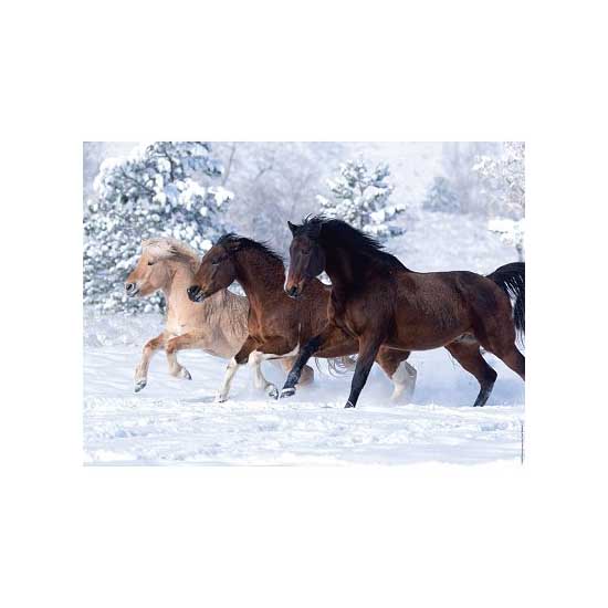 Puzzle chevaux ravensburger