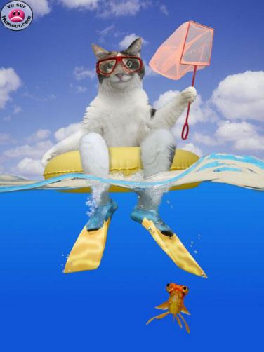 Puzzle sexy en ligne