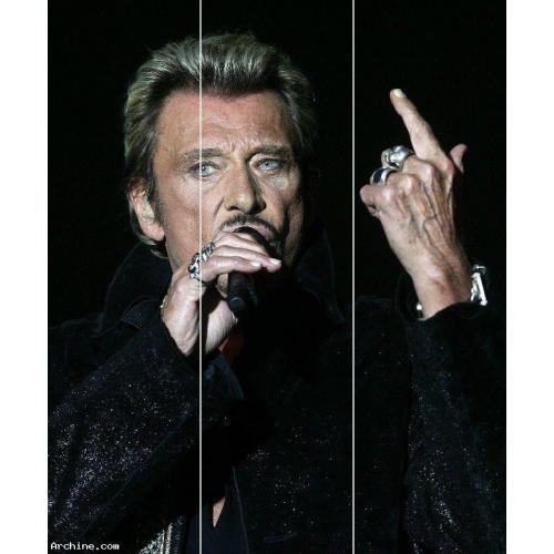 Puzzle de johnny hallyday