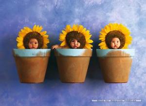 Puzzle anne geddes 1000 pièces