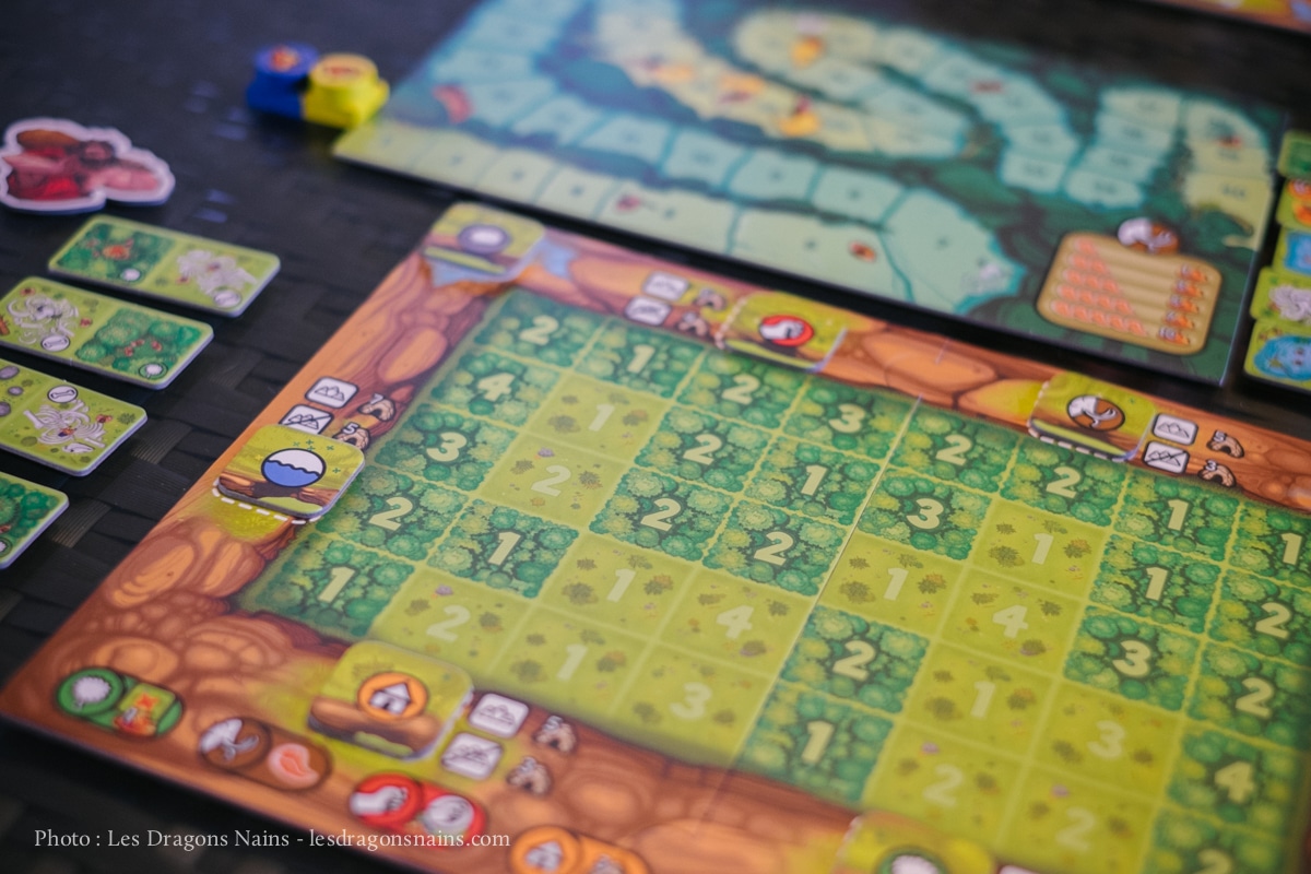 Jeux de société sapiens