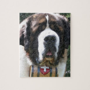 Puzzle saint bernard