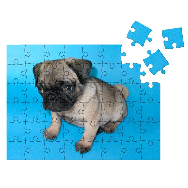 Sublimation puzzle