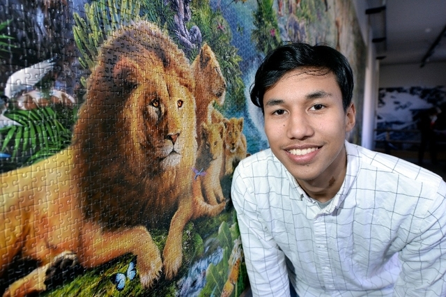 Puzzle la vie sauvage