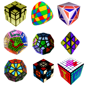 Puzzle a forme unique