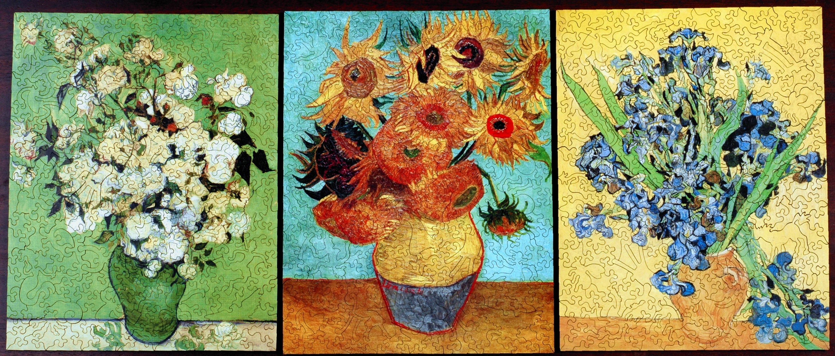 Van gogh puzzle