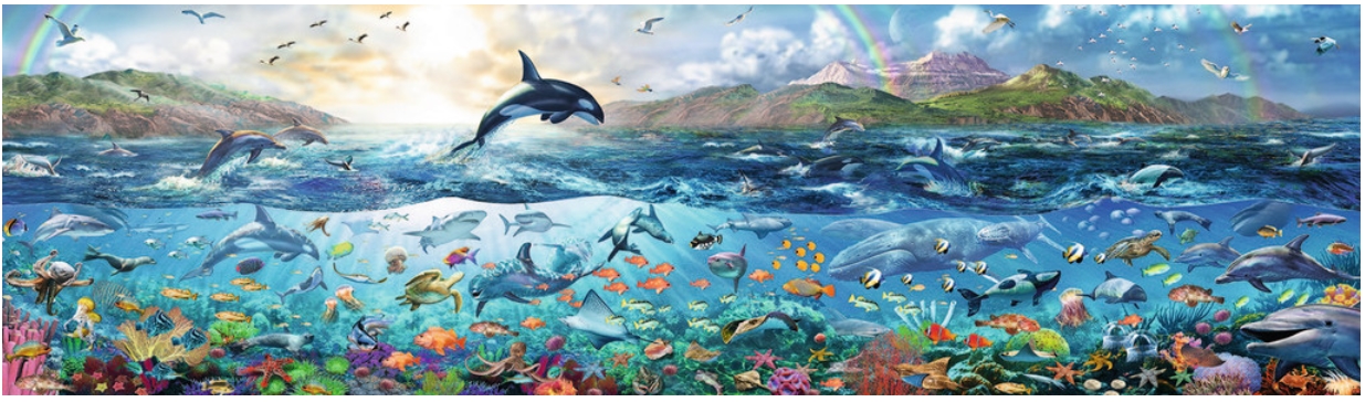 Puzzle de 2000 pièces