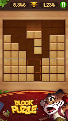 Wooden block puzzle game