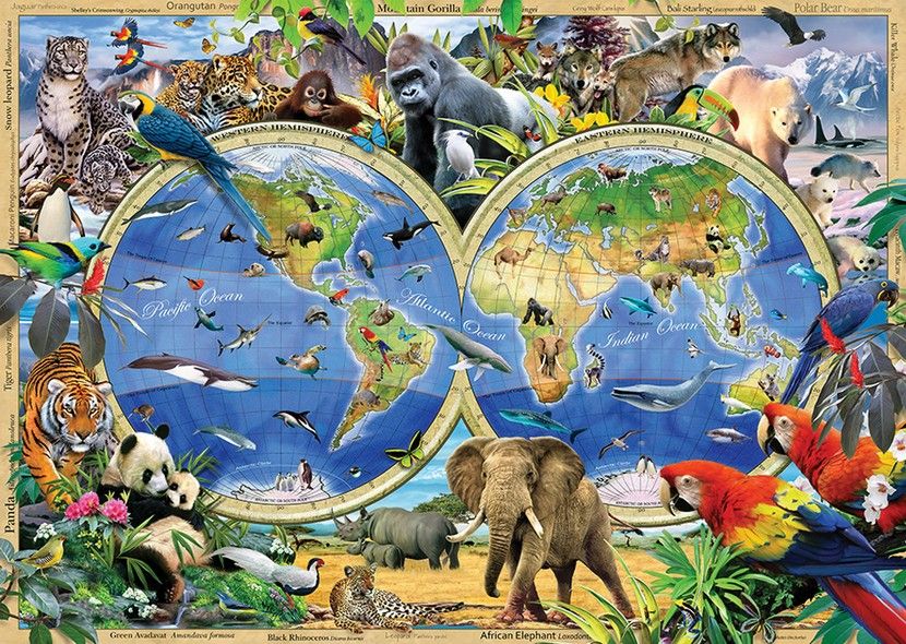 Photo en puzzle 1000 pieces
